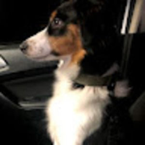 Meet your Posher, Brad